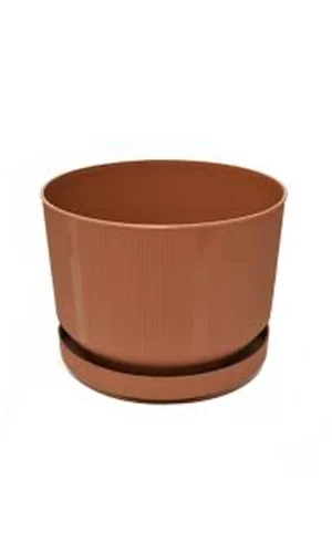 3No Saksı 6Lt Royaleks-S283