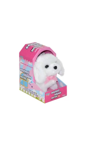 47100 Sevimli Köpek Maltese -sunman