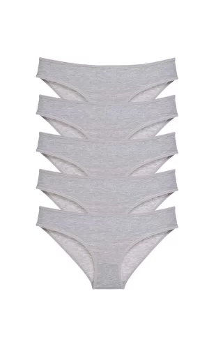 5 adet Süper Eko Set Likralı Kadın Slip Külot Gri
