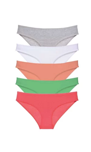5 adet Süper Eko Set Likralı Kadın Slip Külot Gri Beyaz Pudra Yeşil Fuşya