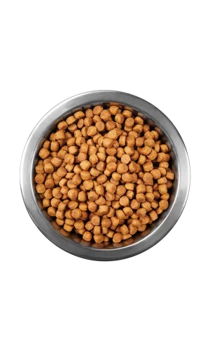Animal World Tavuk Balık Karidesli Yavru kedi Maması 1 Kg Açık Mama