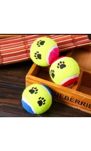 At Getir Köpek Eğitim Topu