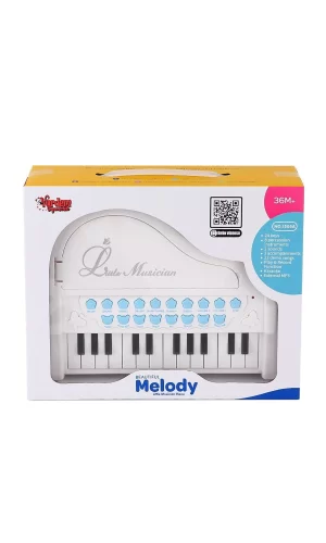 Bao-1505a Mikrofonlu Mini Piano 24 Tuş Mp3 Çalar