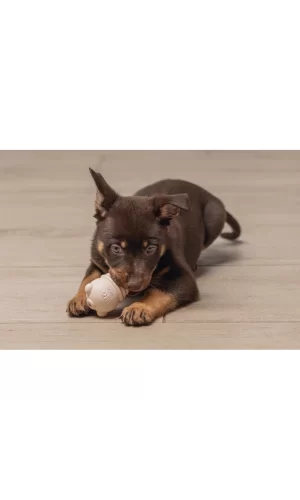 Beeztees Yavru Köpek Sumo Mını Dental Oyuncak Xs 3-6 kg