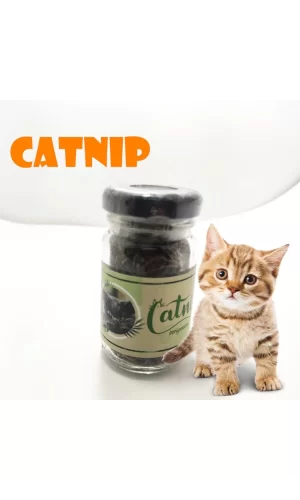 Catnip Doğal Kedi Otu - Kedi Nanesi