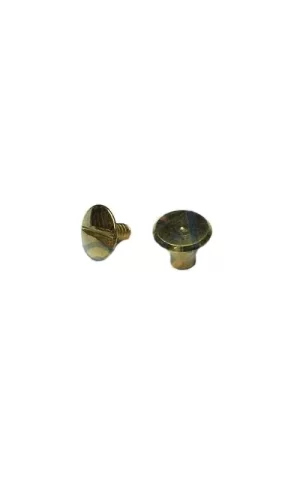 Cilt Menü, Katalog, Kartela Vidası, 6 Mm - Sarı, 100 Adet