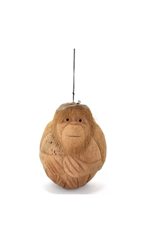 Coconat Maymun Büstü 3marakas-7