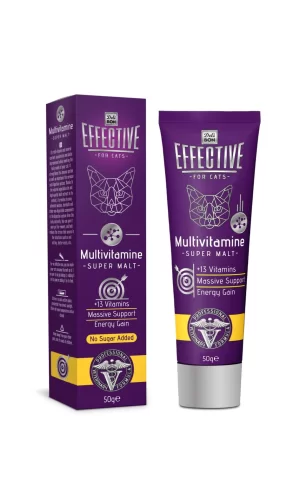 Delibon Effective Kedi Multivitamin 100 g