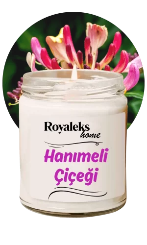 Doğal Özel Seri Kokulu Dekoratif Kavanoz Mum 210 cc - Hanımeli Esansı - RYL