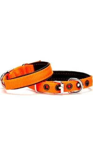 Doggie Softlu Köpek Boyun Tasması 1,5 cm x 30 cm Turuncu