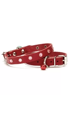 Doggie Taşlı Kedi ve Yavru Köpek Tasması 1,0x19 cm Kırmızı Small