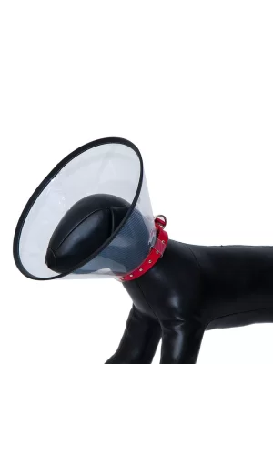 Elizabeth Köpek Yakalığı 20 CM
