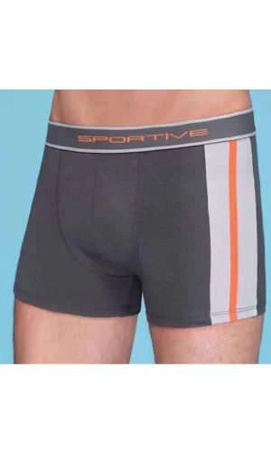 Erkek Modal Boxer 1080