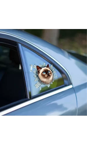Fulcar Siamesse Araç Stickerı