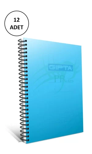 Gıpta A4 Spiralli Defter Eko Plastik Kapak Çizgili 100 Yaprak 12 Adet