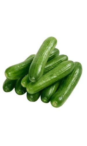 Hıyar Tohumu 20 Gr