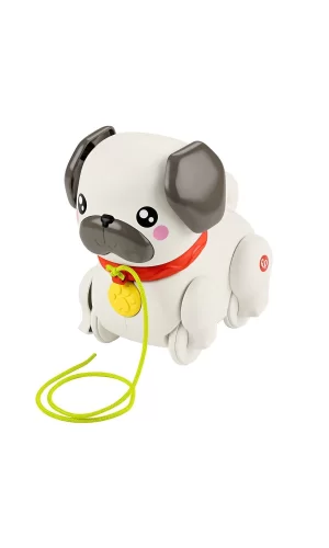 Htw94 Fisher-price  Minik Dostumla Yürüyüş
