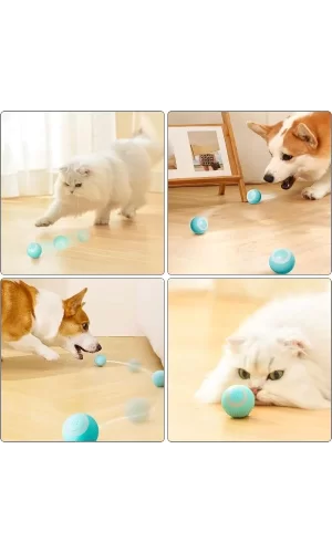 İnteraktif Kedi Köpek Şarjlı Oyun Topu