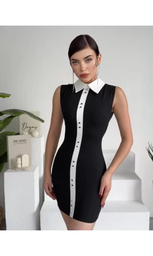 Karina Yaka Detay Elbise