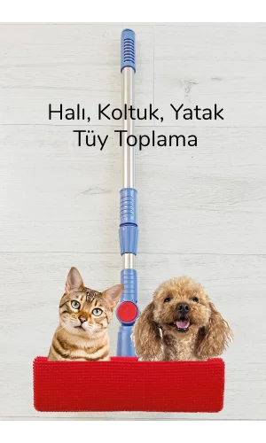 Kedi Köpek Sihirli Tüy Temizleme Fırçası 4 ü 1 Arada Döner Başlıklı