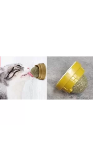 Kedi Nanesi Topu