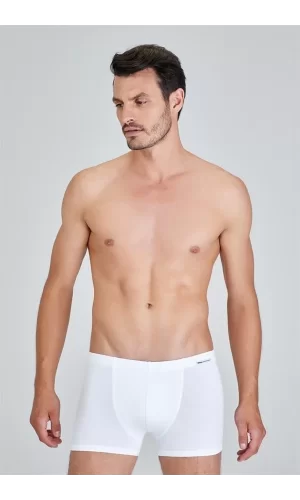 Kom Davide Boxer