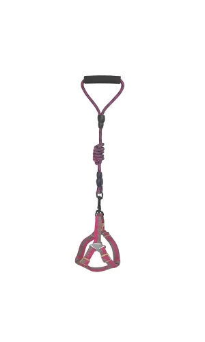Köpek Göğüs Tasma Seti Dalga Desenli 2 cm*40-58 cm Mor-Pembe