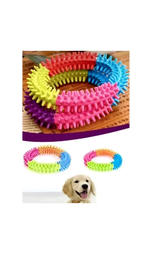 Köpek Isırma Diş Kaşıma Çemberi