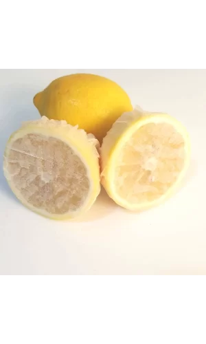 Limon Bonesi / 100 Adet / Bitki Çayı Bonesi
