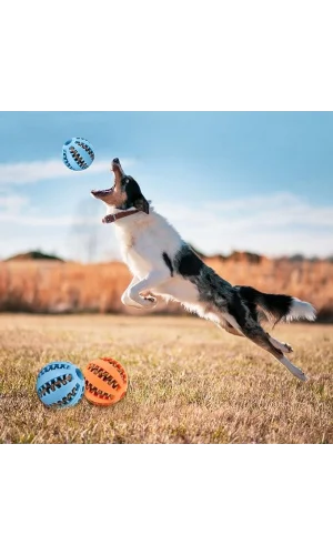 Mama Hazneli Köpek Eğitim Ve Oyun Topu