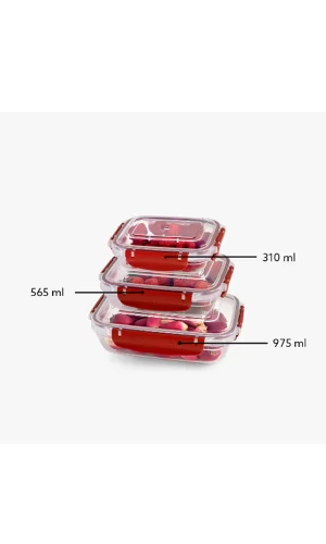 Master Seal Dikdörtgen Saklama Kabı Seti 3 Parça(310,565,975 ml)
