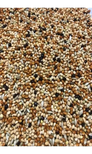Muhabbet Kuşu Yemi Karışık Vitaminli 1 KG - Meyvesiz Yeni Mahsül Saf Kuş Yemi