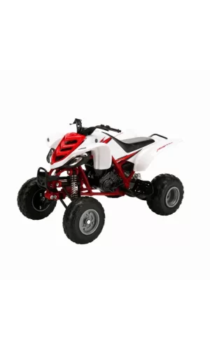 Nessiworld  1:12 Yamaha Raptor 660 R 2005 Atv Model Motor