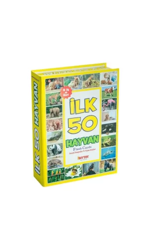 Nessiworld  1352FlashCardsİlk50Hayvan-Dıytoy