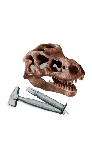 Nessiworld  Bilim ve Oyun T-Rex Kazı Seti
