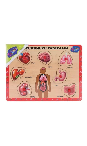 Ony-287 288 Ahşap Tutmalı Vücumuzu Tanıyalım -onyıl Oyuncak