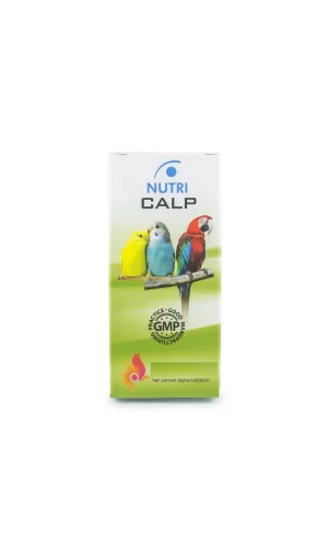 Papağan Gaga - Yumurta - Kemik Sağlamlaştırıcı - Nutri Calp Kalsiyum