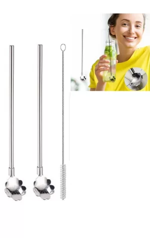 Paslanmaz Metal 2 Li Kaşıklı Pipet Fırça Seti