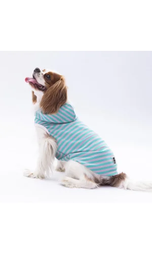 Pawstar Aqua Sunny Kapşonlu Tişört Medium 26x28x41 cm