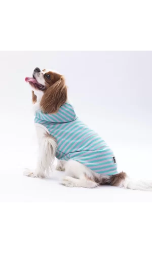 Pawstar Aqua Sunny Kapşonlu Tişört XXLarge 38X43X58 cm
