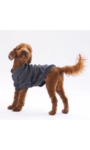 Pawstar Black Merino Sweat Medium 26x28x41 cm