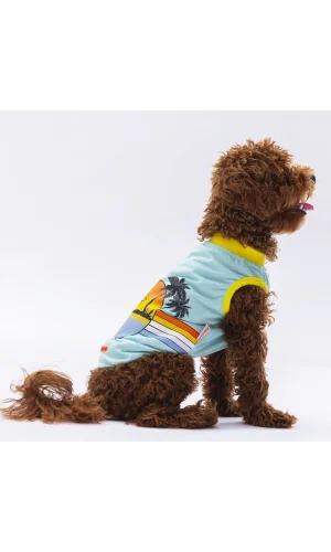 Pawstar Mint Sunrise Tişört XLarge 34*38*55 cm