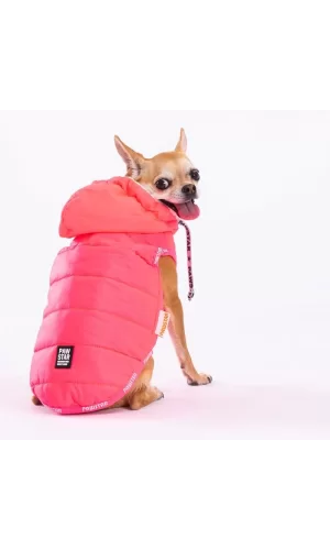 Pawstar Neon Fuchsia Railway Vest Köpek Montu X Large 34x38x55 cm