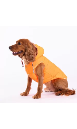 Pawstar Neon Orange Railway Vest Köpek Montu X Large 34x38x55 cm