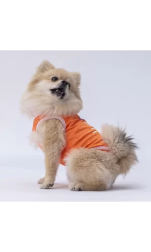 Pawstar Orange Joy Tişört Small 23x24x37 cm