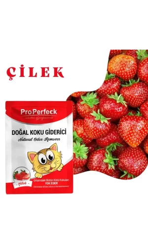 Pro Perfeck Çilek Kokulu Koku Giderici 25 gr