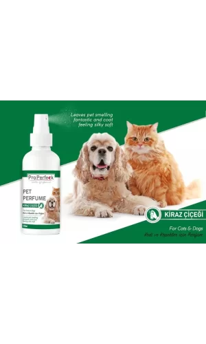 Pro Perfeck Kedi Ve Köpek Kiraz Çiçeği Parfüm 100 ml