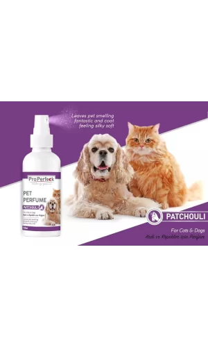 Pro Perfeck Kedi Ve Köpek Paçuli Parfüm 100 ml