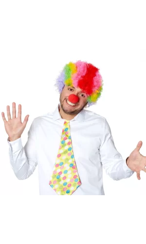 Rengarenk Kıvırcık Afro Bonus Peruk Ve Kırmızı Burun Seti