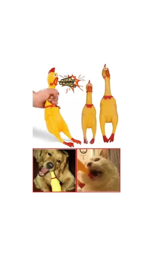 Sesli Horoz Eğlenceli Köpek ve Kediler İçin Sesli Öten Horoz Oyuncak 28 cm
